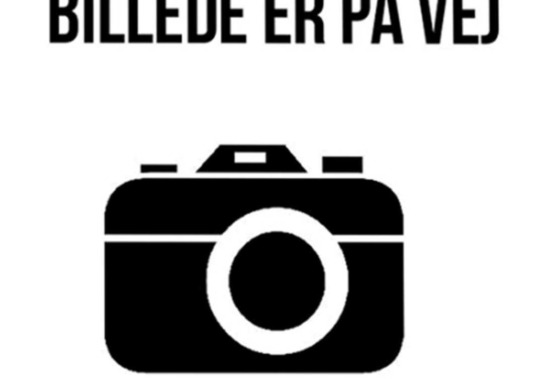 Skaermbillede 2023 06 09 Kl 113436